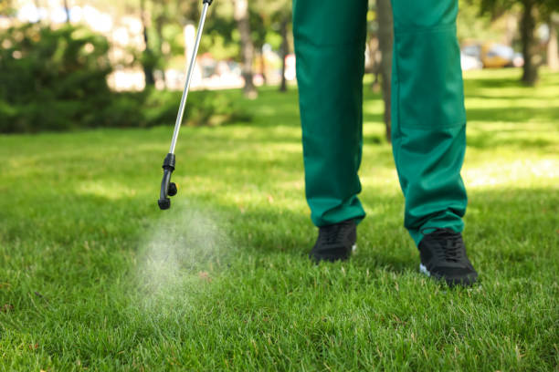 Best Best Pest Control Companies  in Estell Manor, NJ