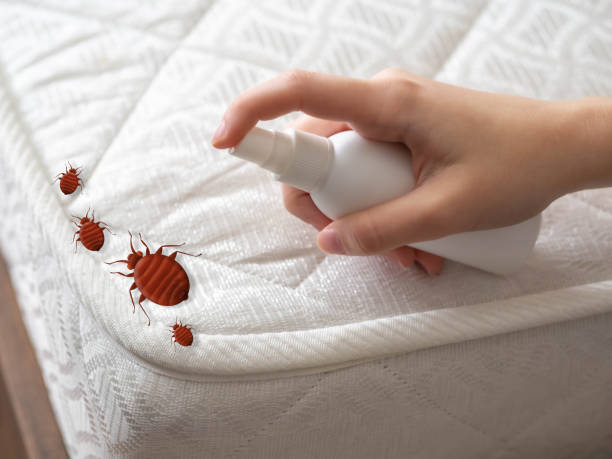 Best Mosquito Control Services  in Estell Manor, NJ