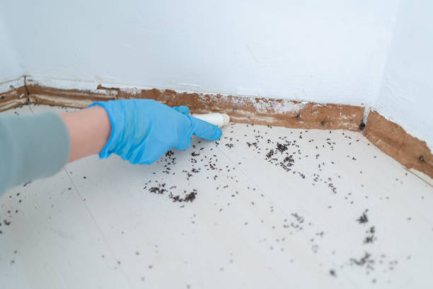 Best Emergency Pest Control  in Estell Manor, NJ