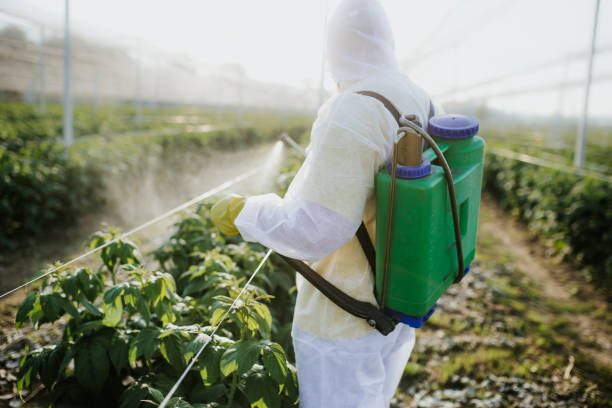  Estell Manor, NJ Pest Control Pros